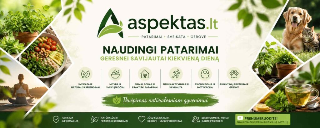 Aspektas.lt Hero banner