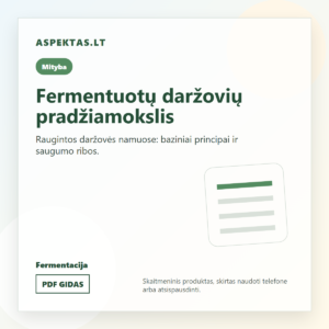 Fermentuotų daržovių pradžiamokslis PDF viršelis
