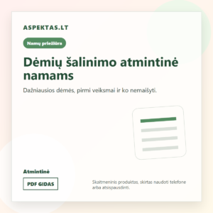 Dėmių šalinimo atmintinė namams PDF viršelis